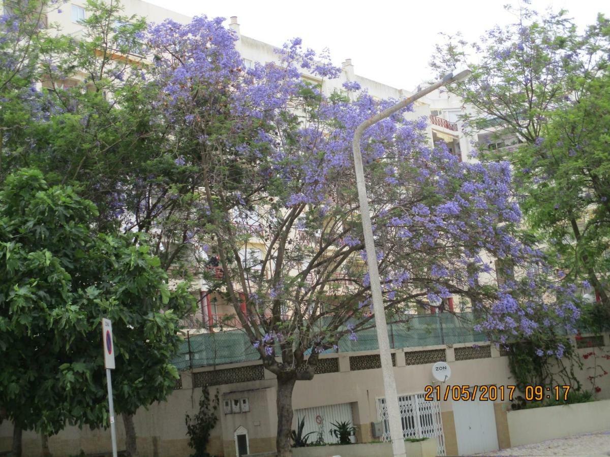 Апартаменти Edificio Caique C Армасан-де-Пера Екстер'єр фото